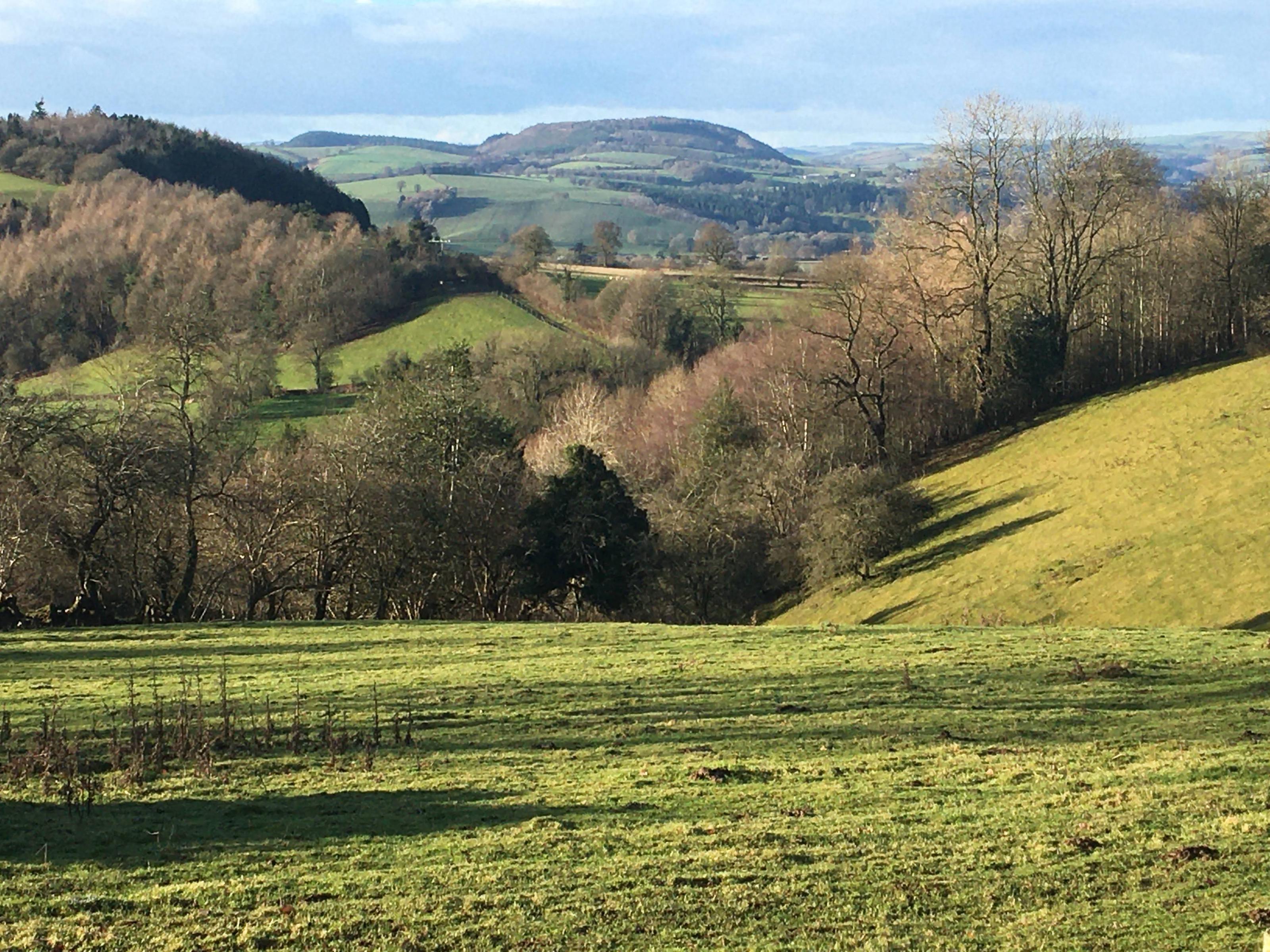 The Old Smithy Bed And Breakfast – Peace And Quiet In The Shropshire Hills